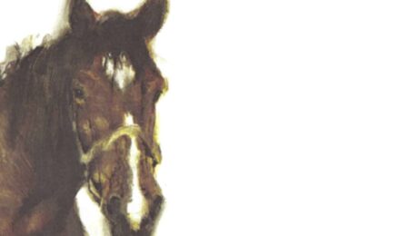 Expositie Paardenkracht_v3