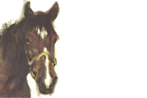 Expositie ‘Paardenkracht’ (Rien Poortvliet)